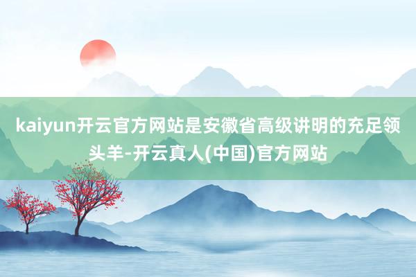 kaiyun开云官方网站是安徽省高级讲明的充足领头羊-开云真人(中国)官方网站