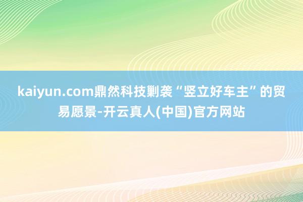 kaiyun.com鼎然科技剿袭“竖立好车主”的贸易愿景-开云真人(中国)官方网站