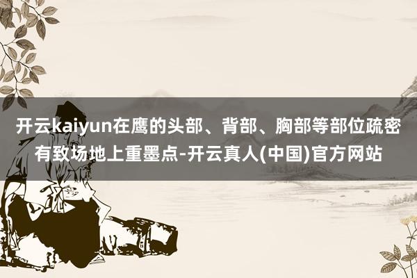 开云kaiyun在鹰的头部、背部、胸部等部位疏密有致场地上重墨点-开云真人(中国)官方网站