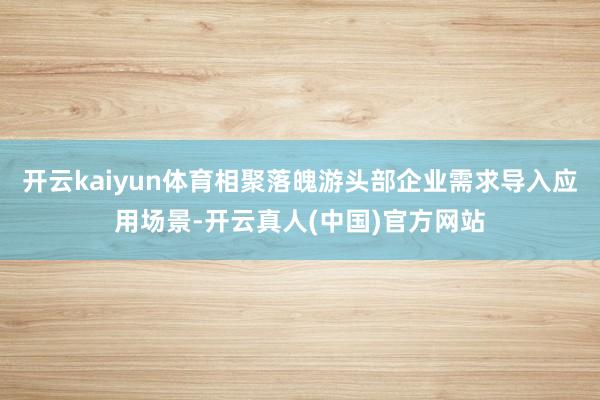 开云kaiyun体育相聚落魄游头部企业需求导入应用场景-开云真人(中国)官方网站