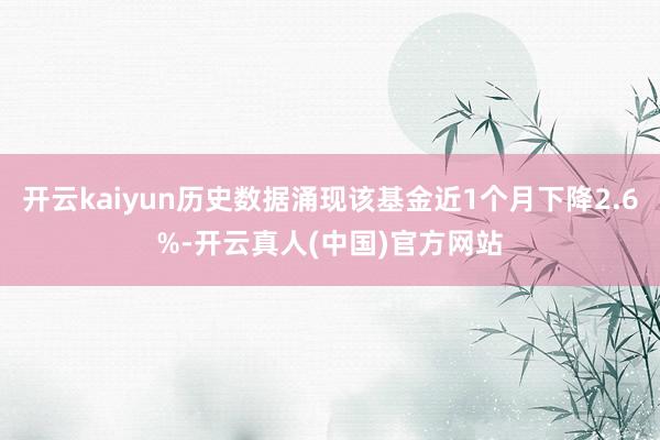 开云kaiyun历史数据涌现该基金近1个月下降2.6%-开云真人(中国)官方网站