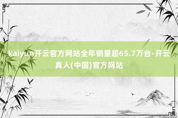 kaiyun开云官方网站全年销量超65.7万台-开云真人(中国)官方网站